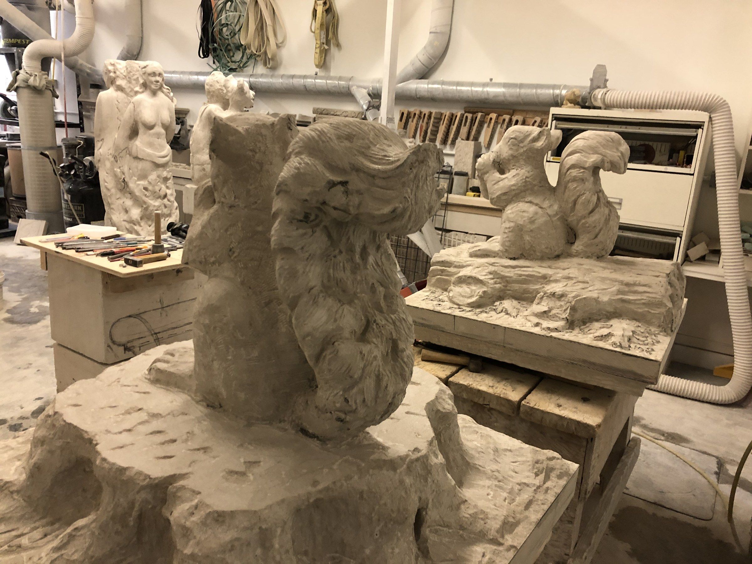 Close view from behind of the squirrel on the stump, its tail carved in long strands, with the other squirrel on its log in the background.